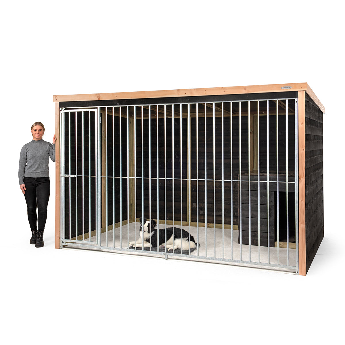 Hondenkennel Bo detail