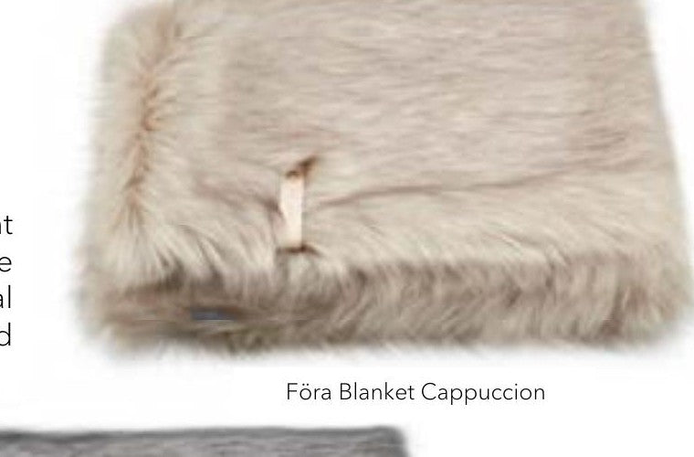 Labbvenn Föra cappuccino