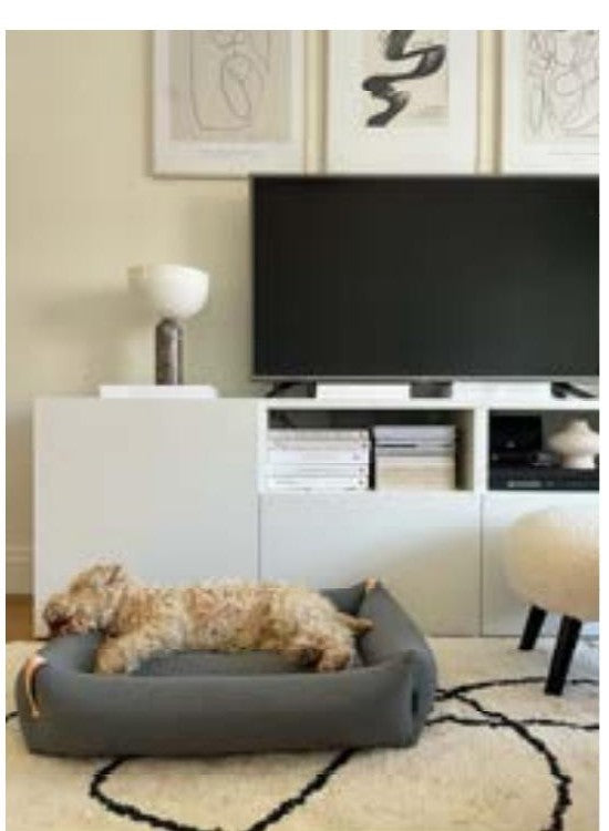 Labbvenn Moe in interieur