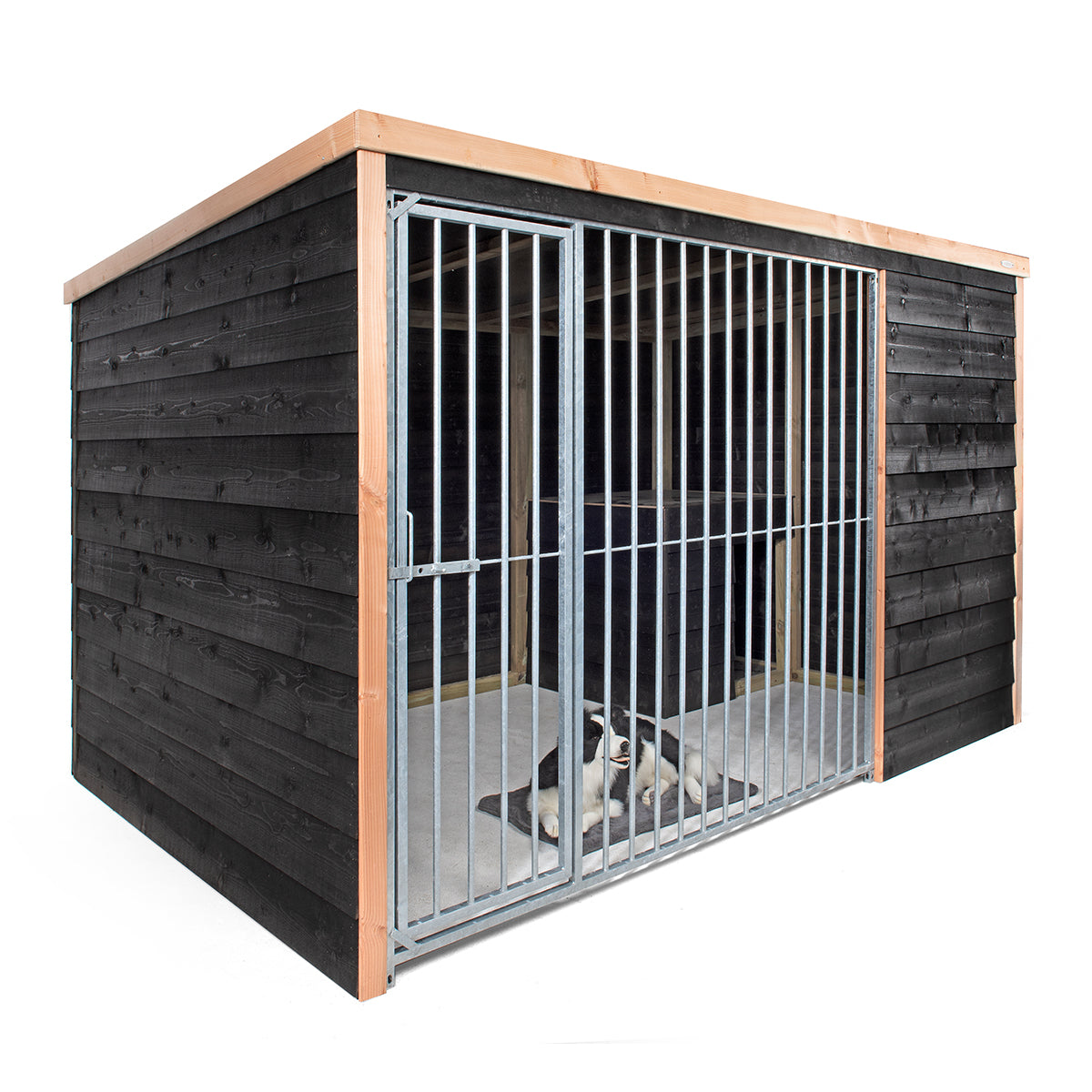 Hondenkennel Rex detail